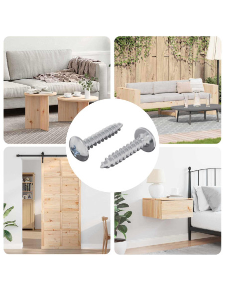 Chiodo autofilettante 2 pcs Zincato 4 x 20 mm Acciaio