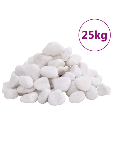 Ciottoli Levigati 25 kg Bianchi 2-5 cm