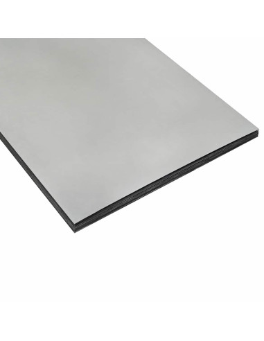 Schermo per privacy in giardino Traforo Argento 50 x 140 cm