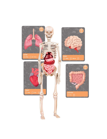 Clementoni Science & Play 19337 giocattolo e kit di scienza per bambini