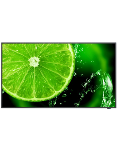 NEC MultiSync E498 124,5 cm (49") IPS 350 cd/m² 4K Ultra HD Nero 16/7