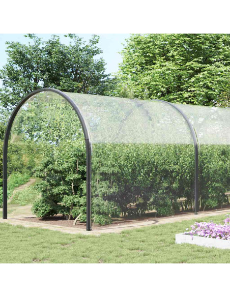 Telone Trasparente con Occhielli 6x12 m in PVC