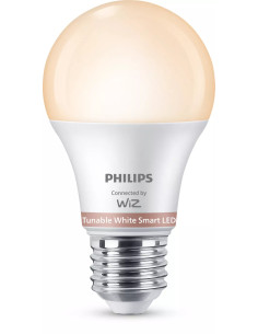 Philips Lampadina 60 W A60 E27