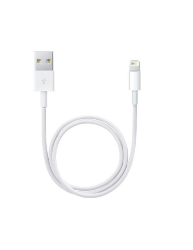 Apple Cavo Lightning to USB2.0 0.5m Bianco