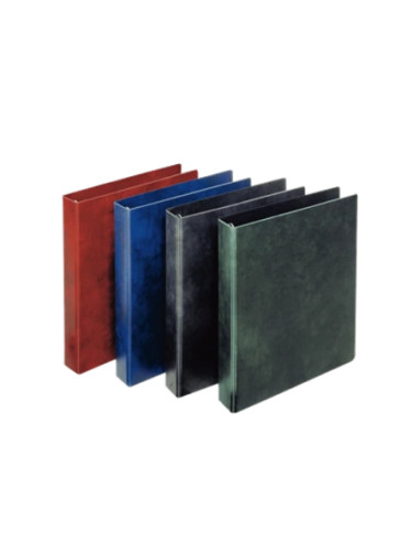 Esselte 390551050 raccoglitore ad anelli A4 Blu