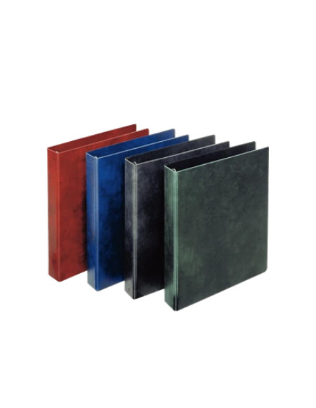 Esselte 390551050 raccoglitore ad anelli A4 Blu