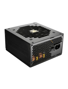 COUGAR CGRGEX-750 alimentatore per computer 750 W 20+4 pin ATX ATX Nero