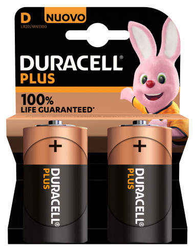 Duracell Plus 100 D B2 x10