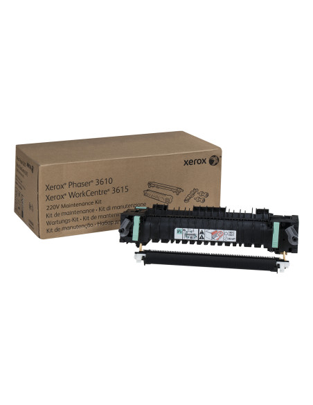 Xerox Fusore 220 V (componente di lunga durata, solitamente non richiesto)