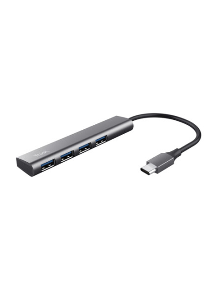 Trust Halyx USB 3.2 Gen 1 (3.1 Gen 1) Type-A 5 Mbit/s Grigio