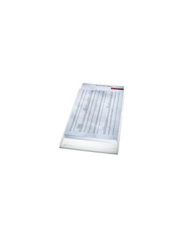 Leitz 40563003 cartella Cloruro di polivinile (PVC) Trasparente A4
