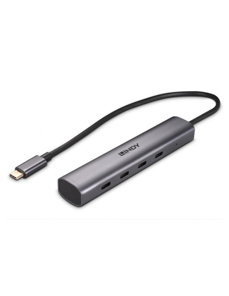 Lindy 43384 hub di interfaccia USB tipo-C 10000 Mbit/s Grigio