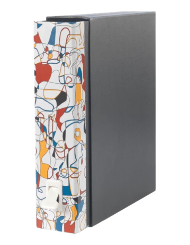 Esselte Dox 2 raccoglitore ad anelli A4 Multicolore