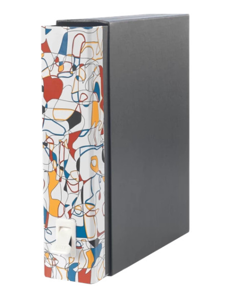 Esselte Dox 2 raccoglitore ad anelli A4 Multicolore