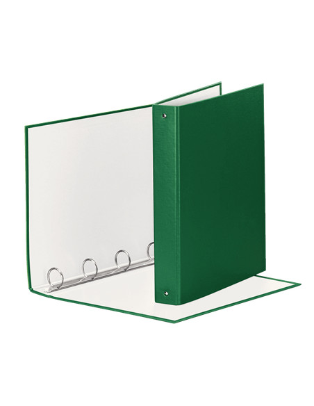 Esselte 395792600 raccoglitore ad anelli Verde