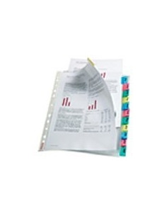 Esselte Index Pockets foglio di protezione Polipropilene (PP)