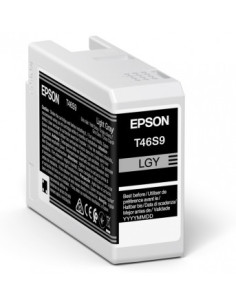 Epson UltraChrome Pro cartuccia d'inchiostro 1 pz Originale Grigio chiaro