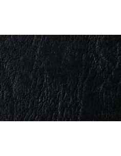 GBC 100 ANTELOPE 250G A4 NERO 2