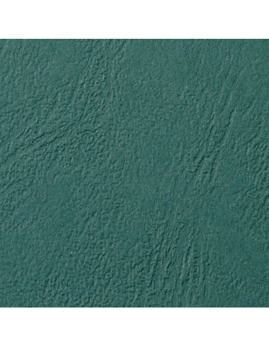 GBC 100 ANTELOPE 250G A4 VERDE BOS