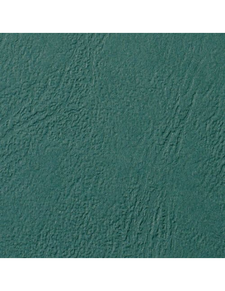 GBC 100 ANTELOPE 250G A4 VERDE BOS