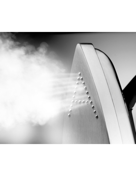 Polti Vaporella 2H Professional 1750 W 1,3 L Alluminio Nero, Grigio