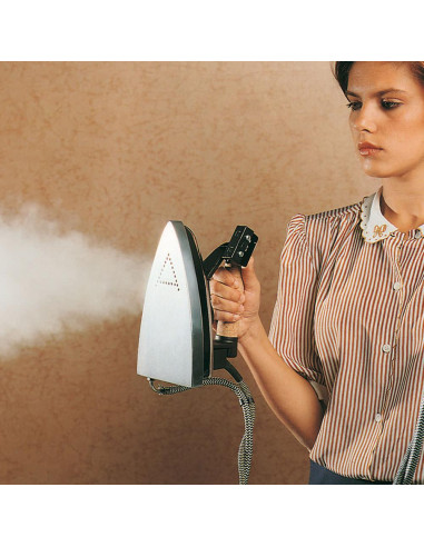 Polti Vaporella 2H Professional 1750 W 1,3 L Alluminio Nero, Grigio