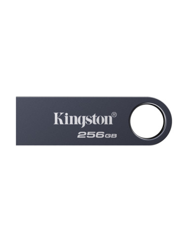 Kingston Technology DataTraveler 256GB SE9 G3 - Nichel scuro