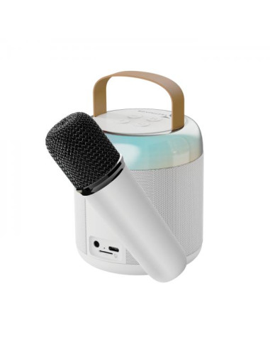 Techmade TM-K2-WH altoparlante portatile e per feste Altoparlante da festa Bianco 5 W
