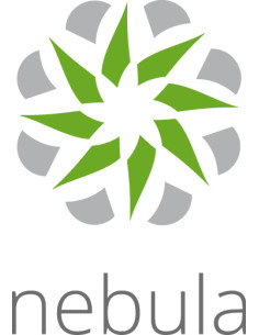 Zyxel LIC-NPRO-ZZ1Y00F licenza per software/aggiornamento 1 licenza/e 1 anno/i