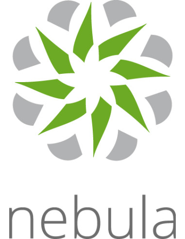 Zyxel LIC-NPRO-ZZ1Y00F licenza per software/aggiornamento 1 licenza/e 1 anno/i