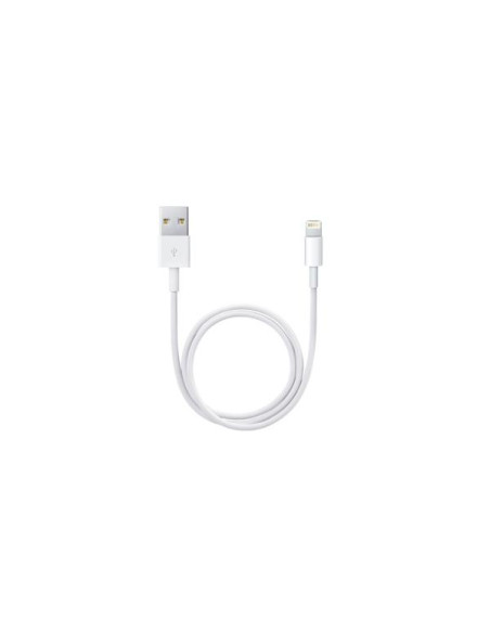 Apple Cavo da lightning a USB 0.5mt