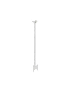 Multibrackets 4757 Supporto per display espositivi 81,3 cm (32") Bianco