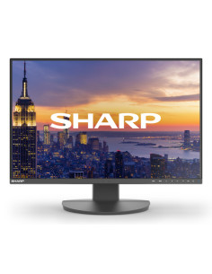 Sharp MultiSync EA242W Monitor PC 61 cm (24") 1920 x 1200 Pixel Full HD LCD Nero