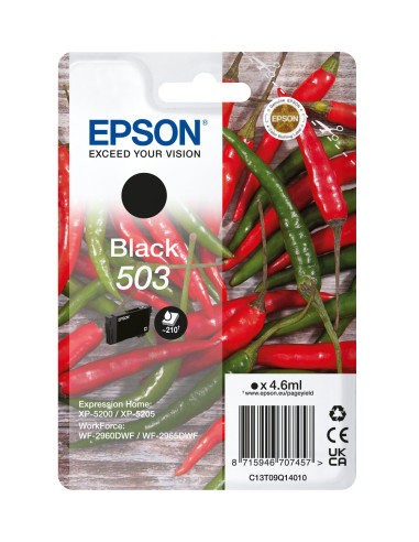 Epson 503 cartuccia d'inchiostro 1 pz Originale Resa standard Nero