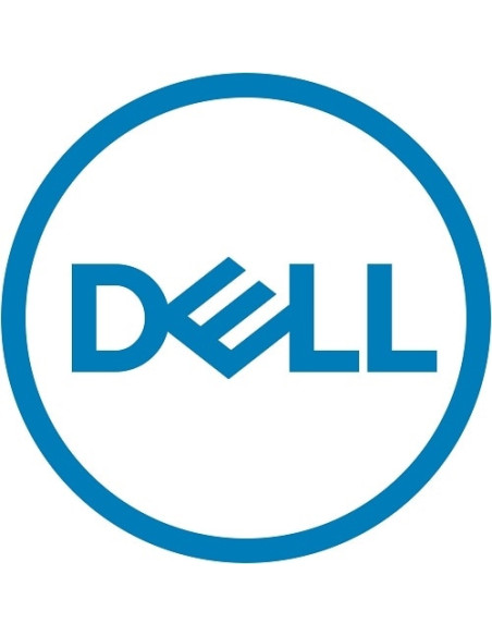 DELL 161-BBPH disco rigido interno 4 TB 7200 Giri/min 3.5" NL-SAS