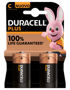 Duracell Plus 100 C B2 x10