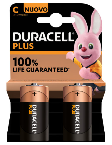 Duracell Plus 100 C B2 x10