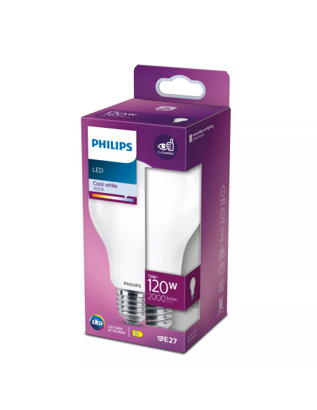 Philips Lampadina smerigliata a filamento 120 W A67 E27