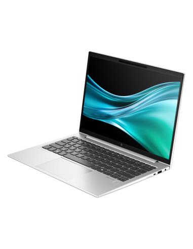 HP EliteBook G11 Intel Core Ultra 5 125U Computer portatile 33,8 cm (13.3") WUXGA 16 GB LPDDR5x-SDRAM 512 GB SSD Wi-Fi 6E (802.1