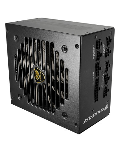 COUGAR CGRGEX-750 alimentatore per computer 750 W 20+4 pin ATX ATX Nero