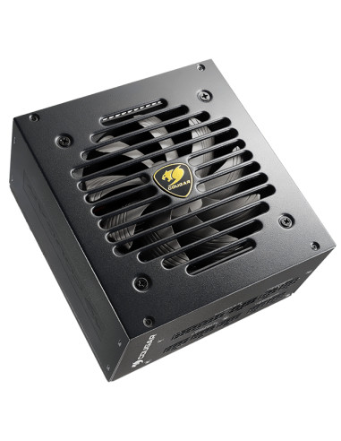 COUGAR CGRGEX-750 alimentatore per computer 750 W 20+4 pin ATX ATX Nero
