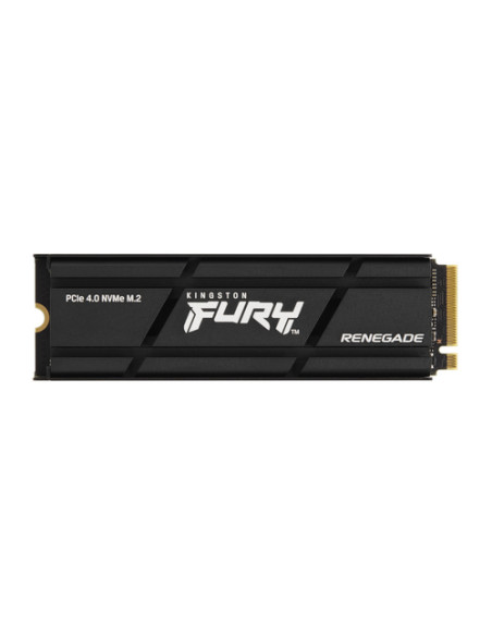 Kingston Technology 2000G RENEGADE PCIe 4.0 NVMe SSD W/ Dissipatore di calore