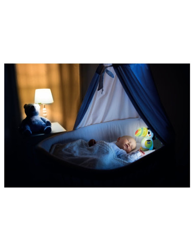 Baby 17956 giocattolo educativo
