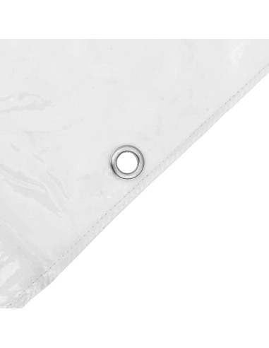 Telone Trasparente con Occhielli 6x12 m in PVC