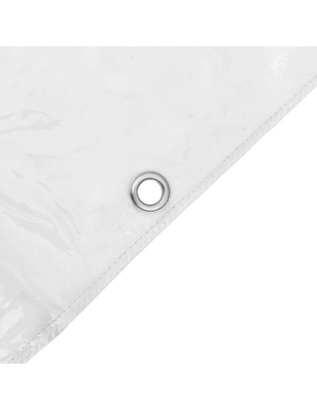 Telone Trasparente con Occhielli 6x12 m in PVC