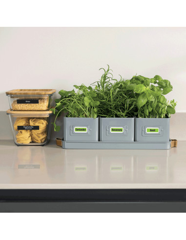 Brother PT-N20 stampante per etichette (CD) Trasferimento termico A colori 180 x 180 DPI 12 mm/s