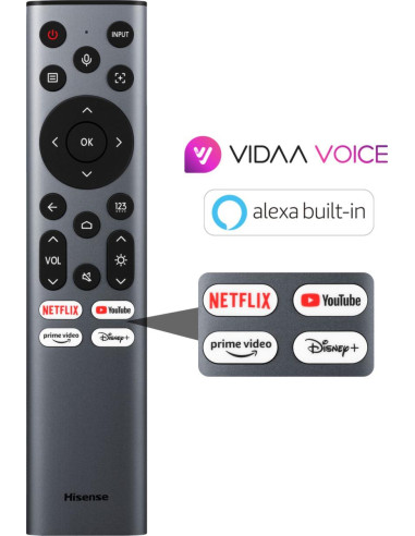 Hisense C2 Pro Smart TV Wi-Fi Grigio