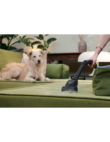 Hoover HP120PET 011 2 L A cilindro Secco 700 W Senza sacchetto