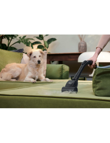 Hoover HP120PET 011 2 L A cilindro Secco 700 W Senza sacchetto