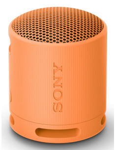 Sony SRS-XB100 - Speaker Wireless Bluetooth, portatile, leggero, compatto, da esterno, da viaggio, resistente IP67 impermeabile 